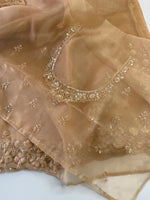 Glass Organza Saree/ SP96