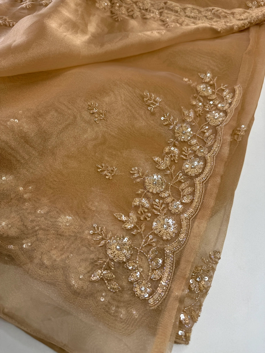 Glass Organza Saree/ SP96