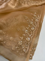 Glass Organza Saree/ SP96