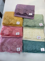 Soft Organza Saree/ 287B