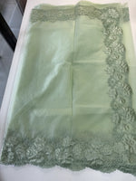 Soft Organza Saree/ 287B