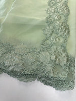 Soft Organza Saree/ 287B