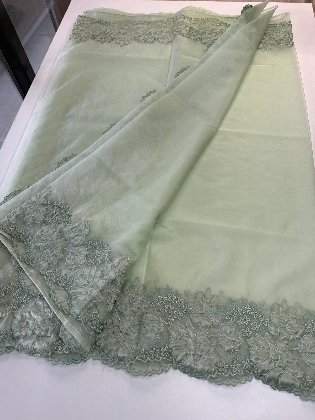 Soft Organza Saree/ 287B