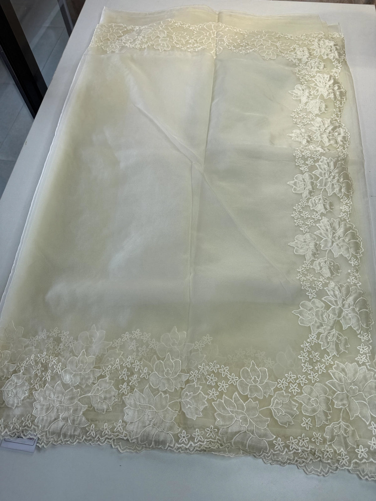 Soft Organza Saree/ 287B