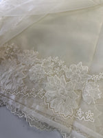 Soft Organza Saree/ 287B