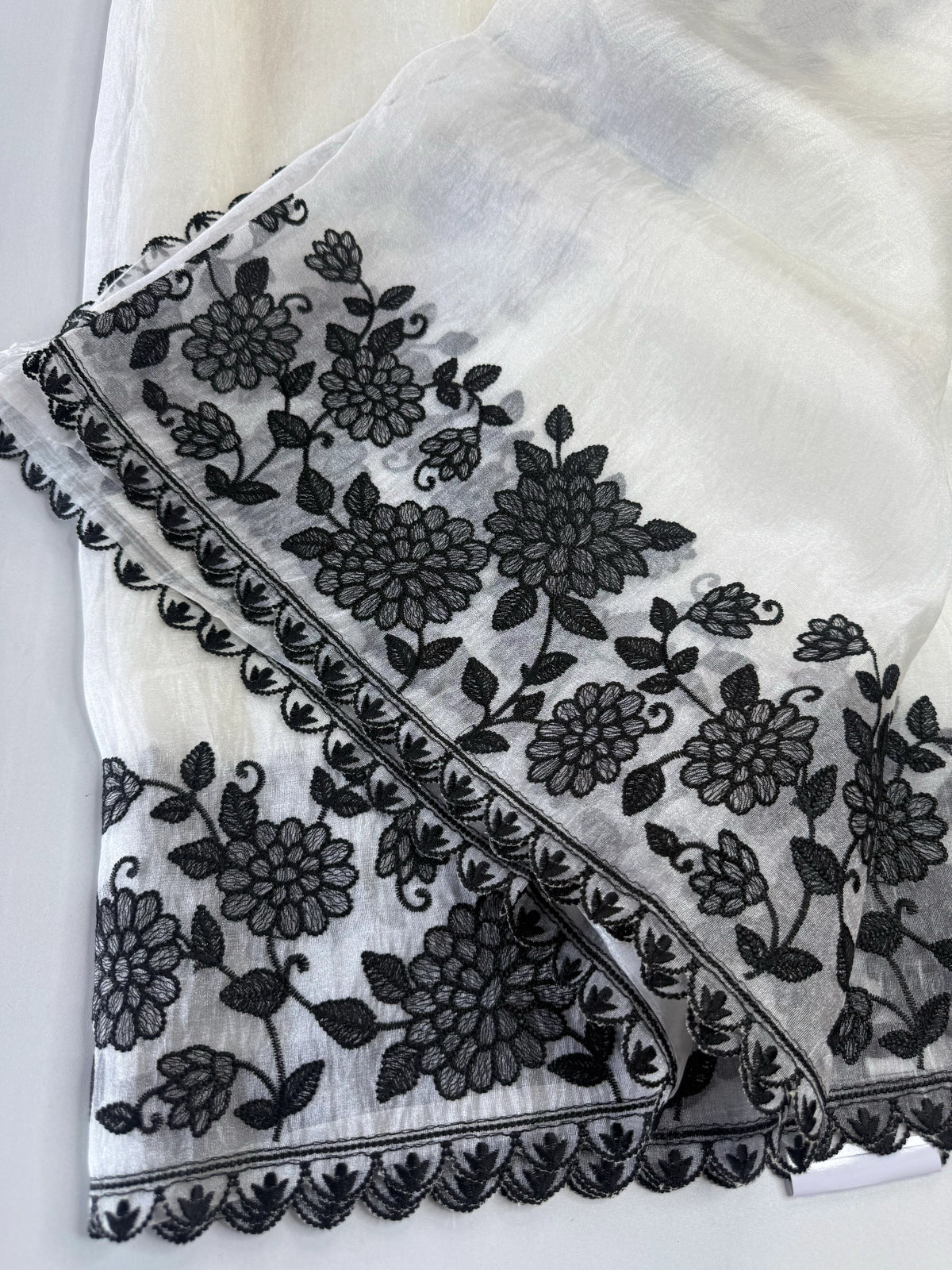 Organza Saree/ RKF15