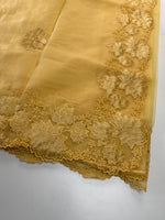 Soft Organza Saree/ 287B