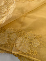Soft Organza Saree/ 287B