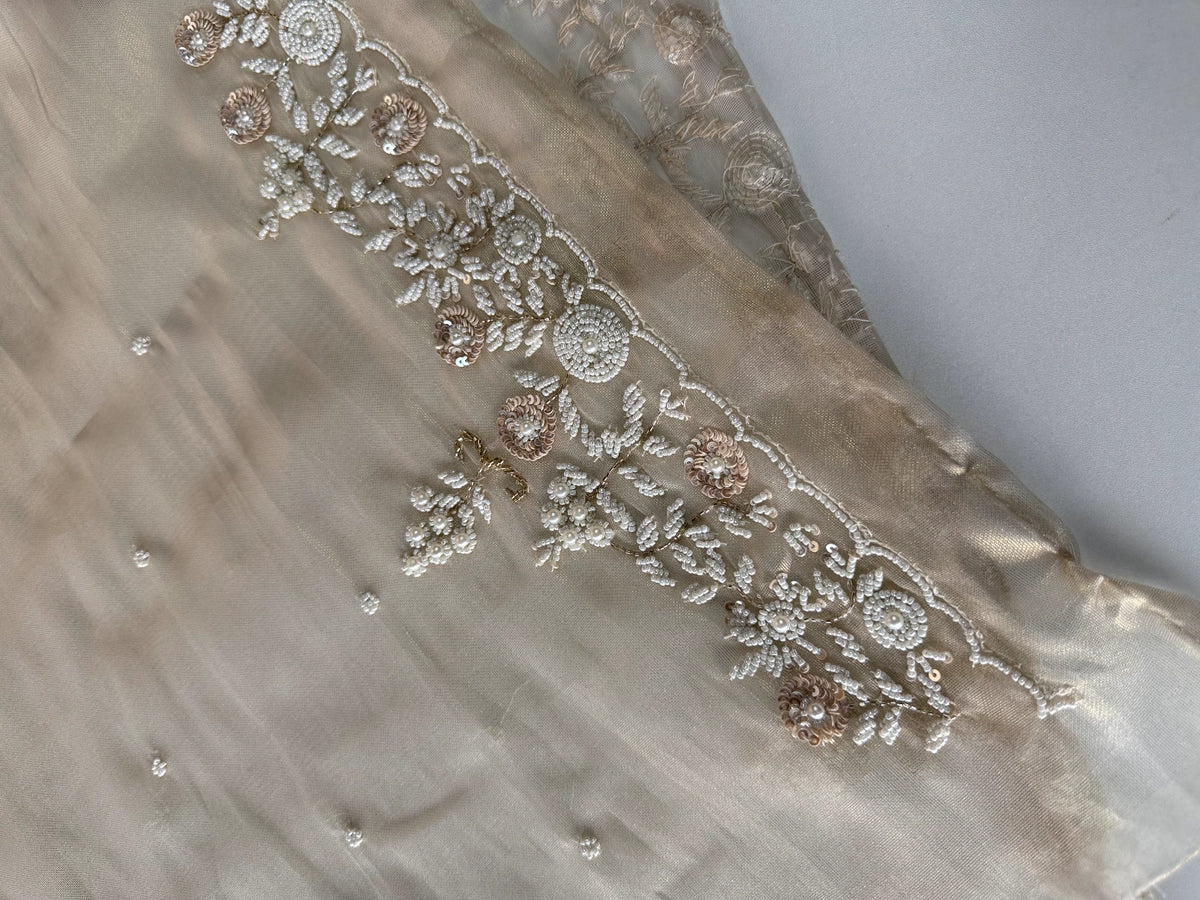 Tissue organza Saree/SA001
