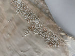 Tissue organza Saree/SA001