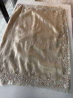 Tissue organza Saree/SA001