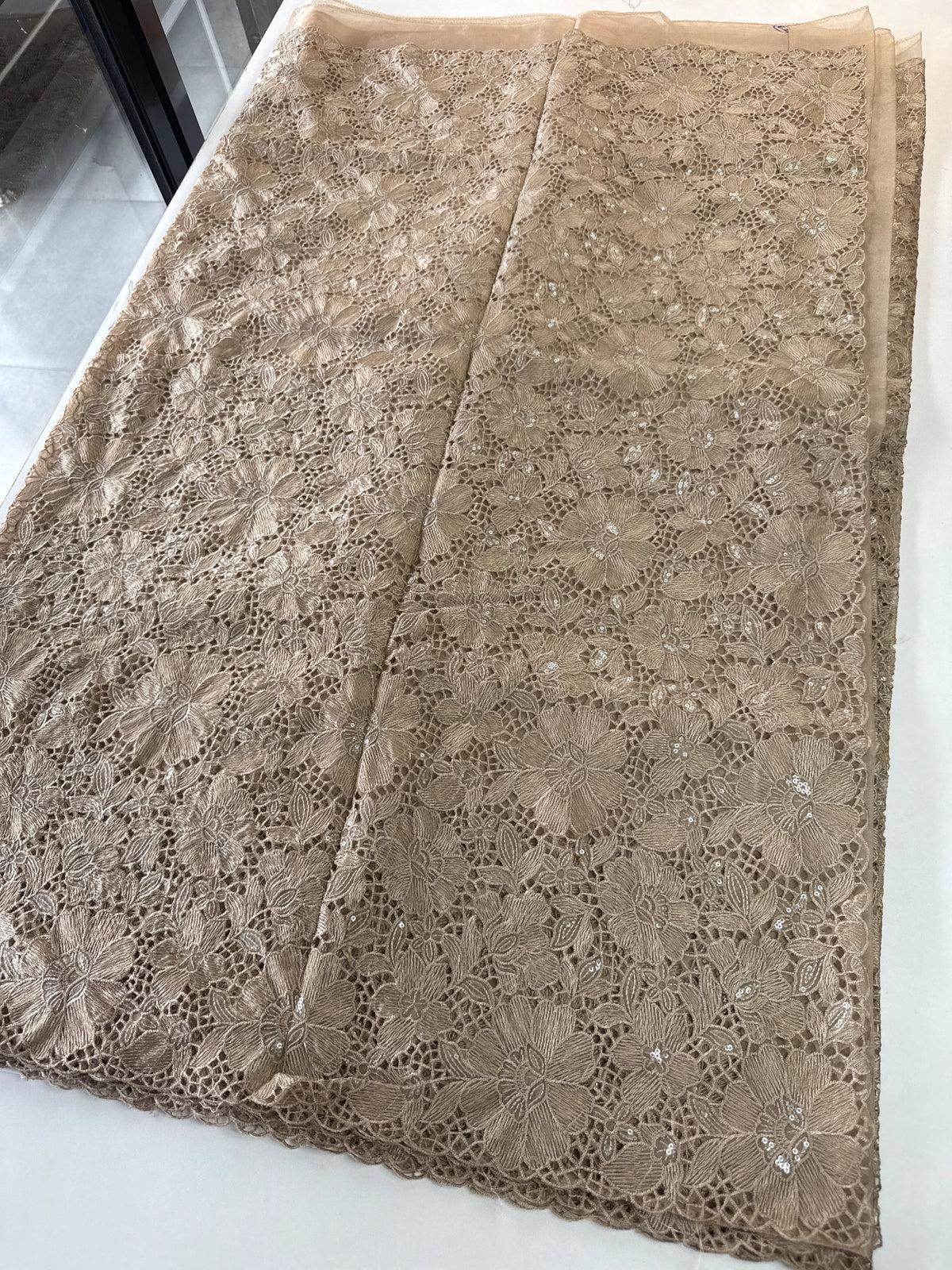 Soft organza Saree/ CW768