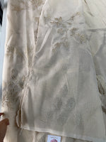 Chanderi Tissue blended Saree/ AWS16