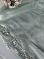 Tissue organza saree/ SA009