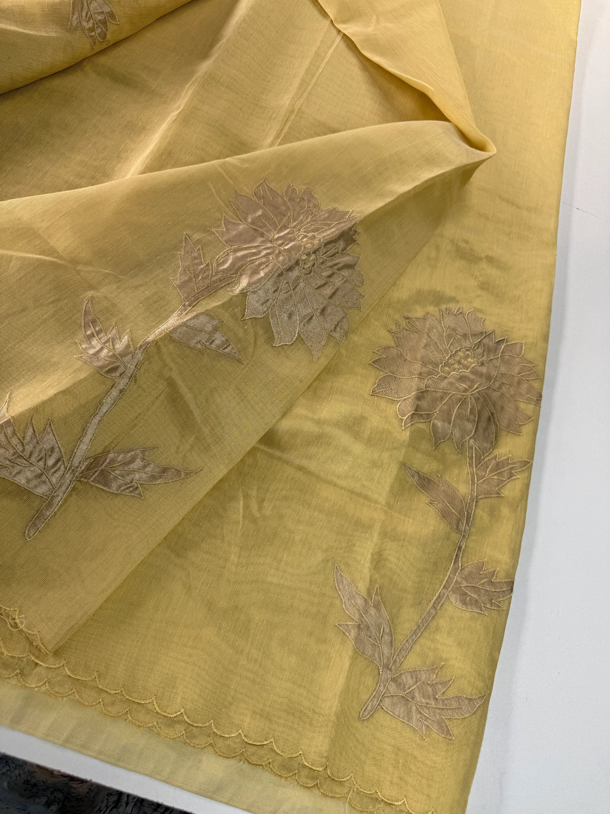 Chanderi Tissue Blended Saree/ AWS17