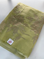 Chanderi Tissue Blended Saree/ AWS17