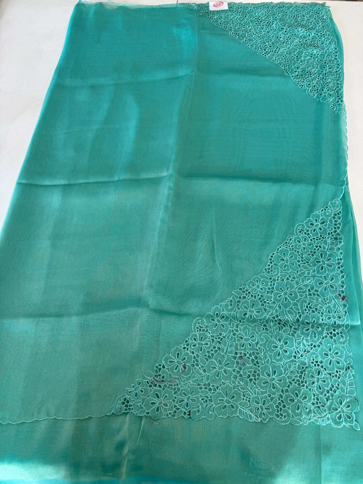 Tissue Organza Saree/ MSA45