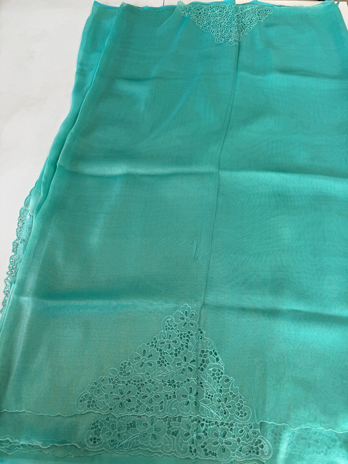 Tissue Organza Saree/ MSA45
