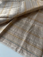 Tissue saree / BL4914