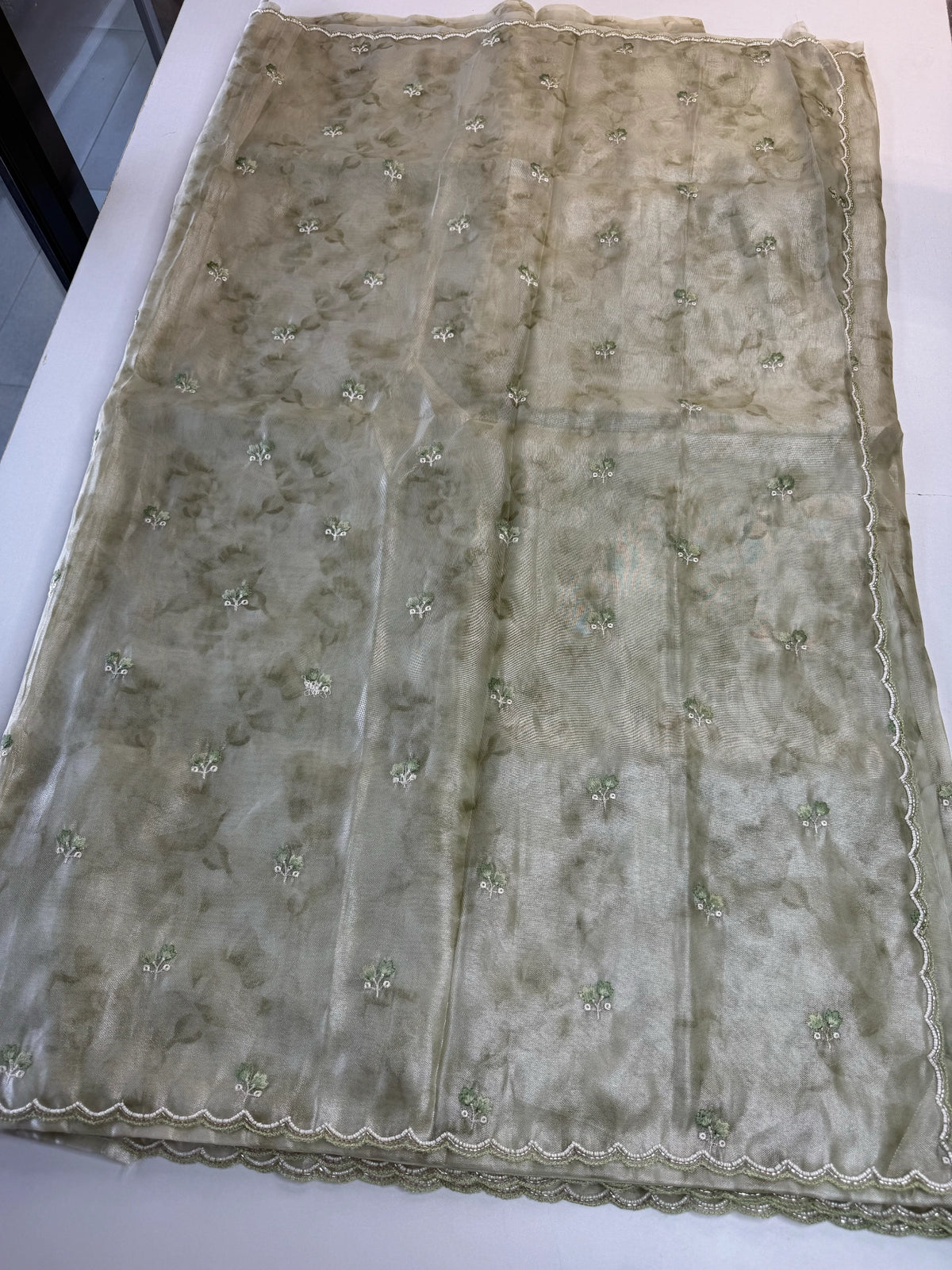 Tissue Organza Saree/ RKF14