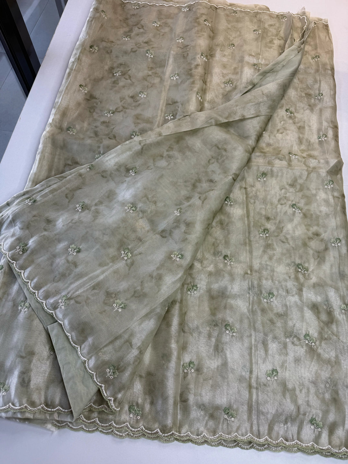 Tissue Organza Saree/ RKF14