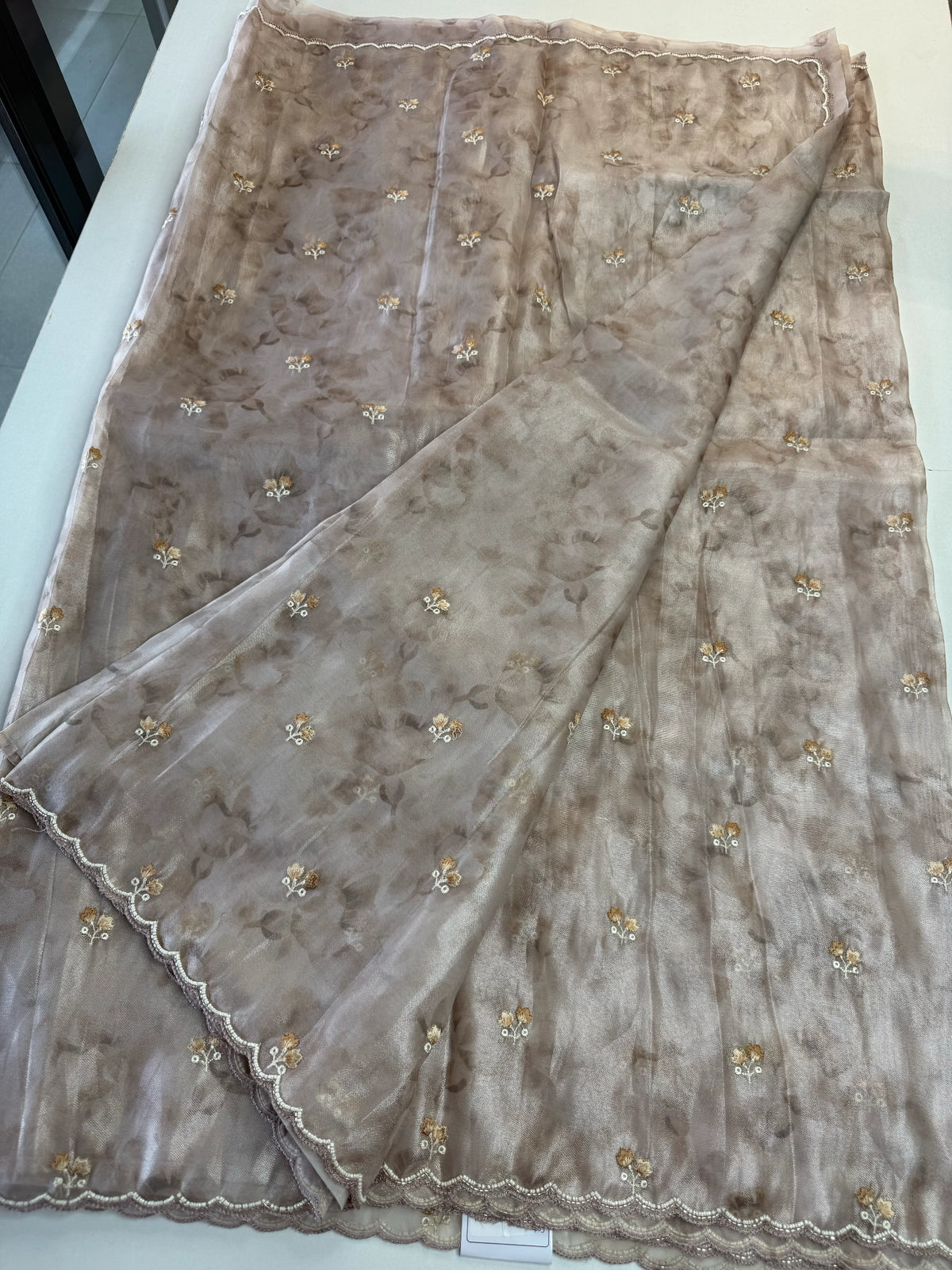 Tissue Organza Saree/ RKF14