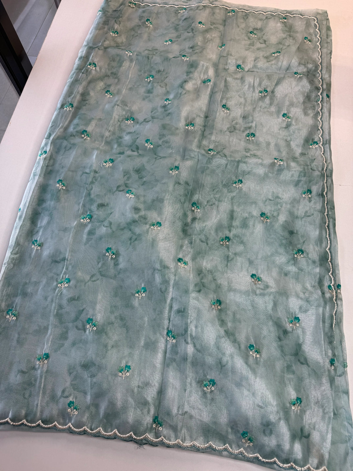 Tissue Organza Saree/ RKF14