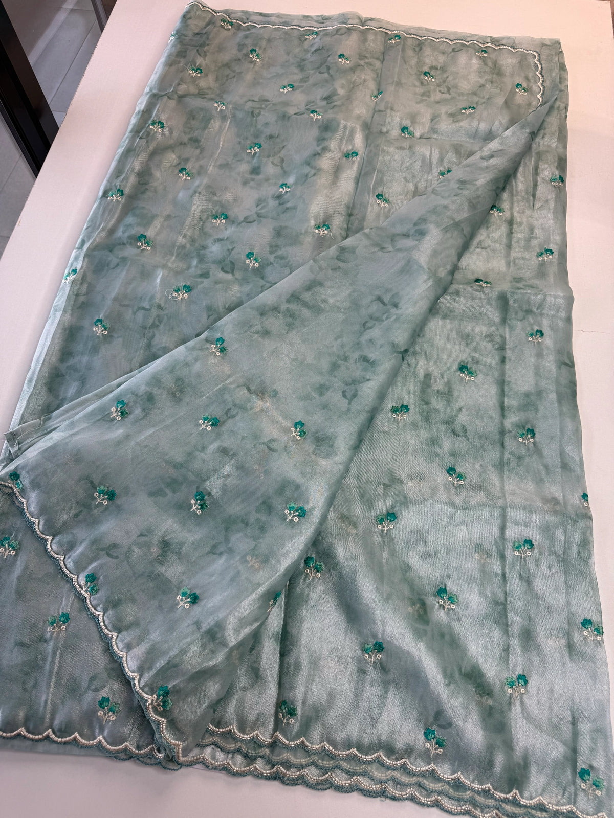 Tissue Organza Saree/ RKF14