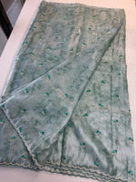 Tissue Organza Saree/ RKF14