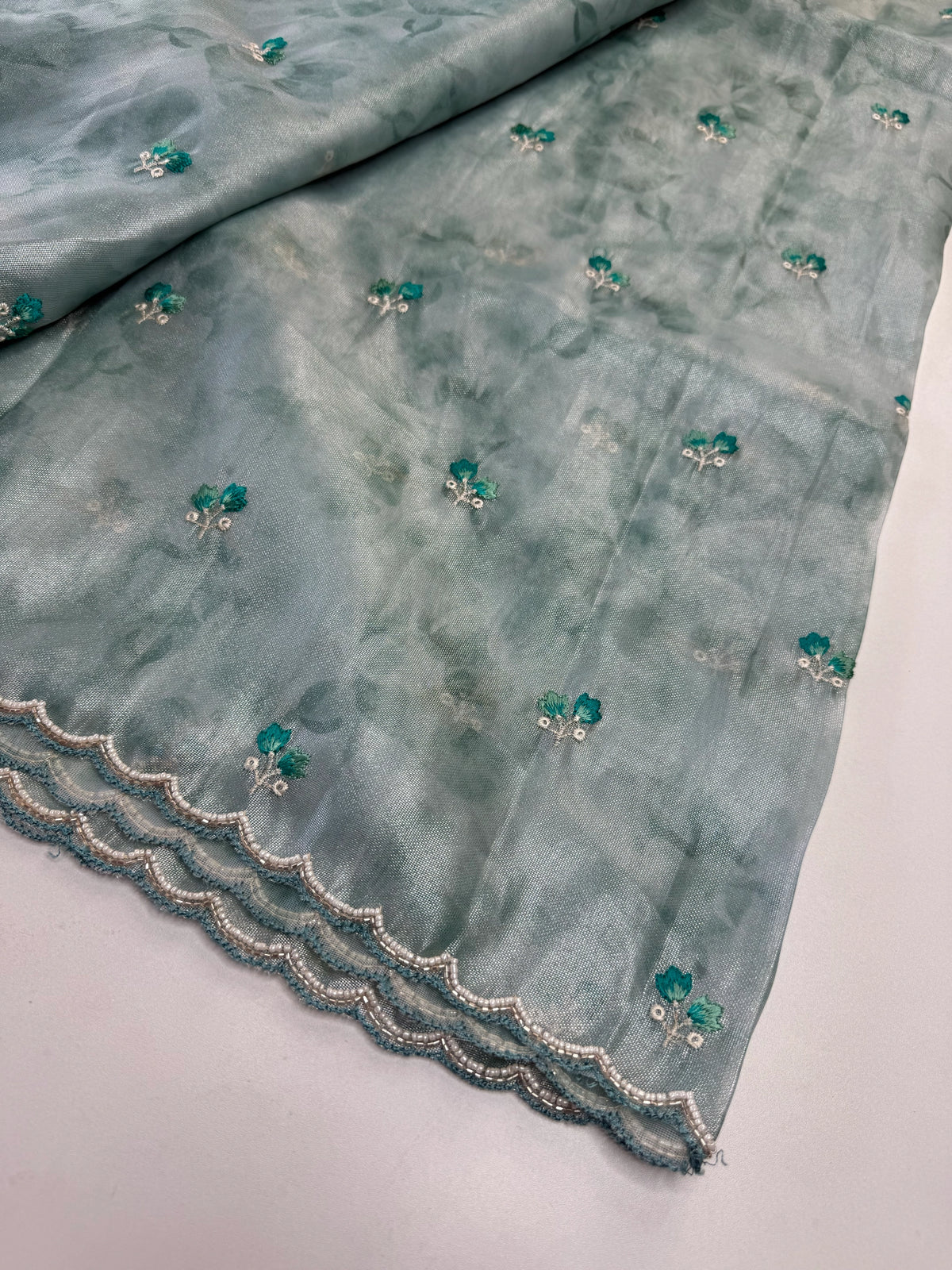 Tissue Organza Saree/ RKF14