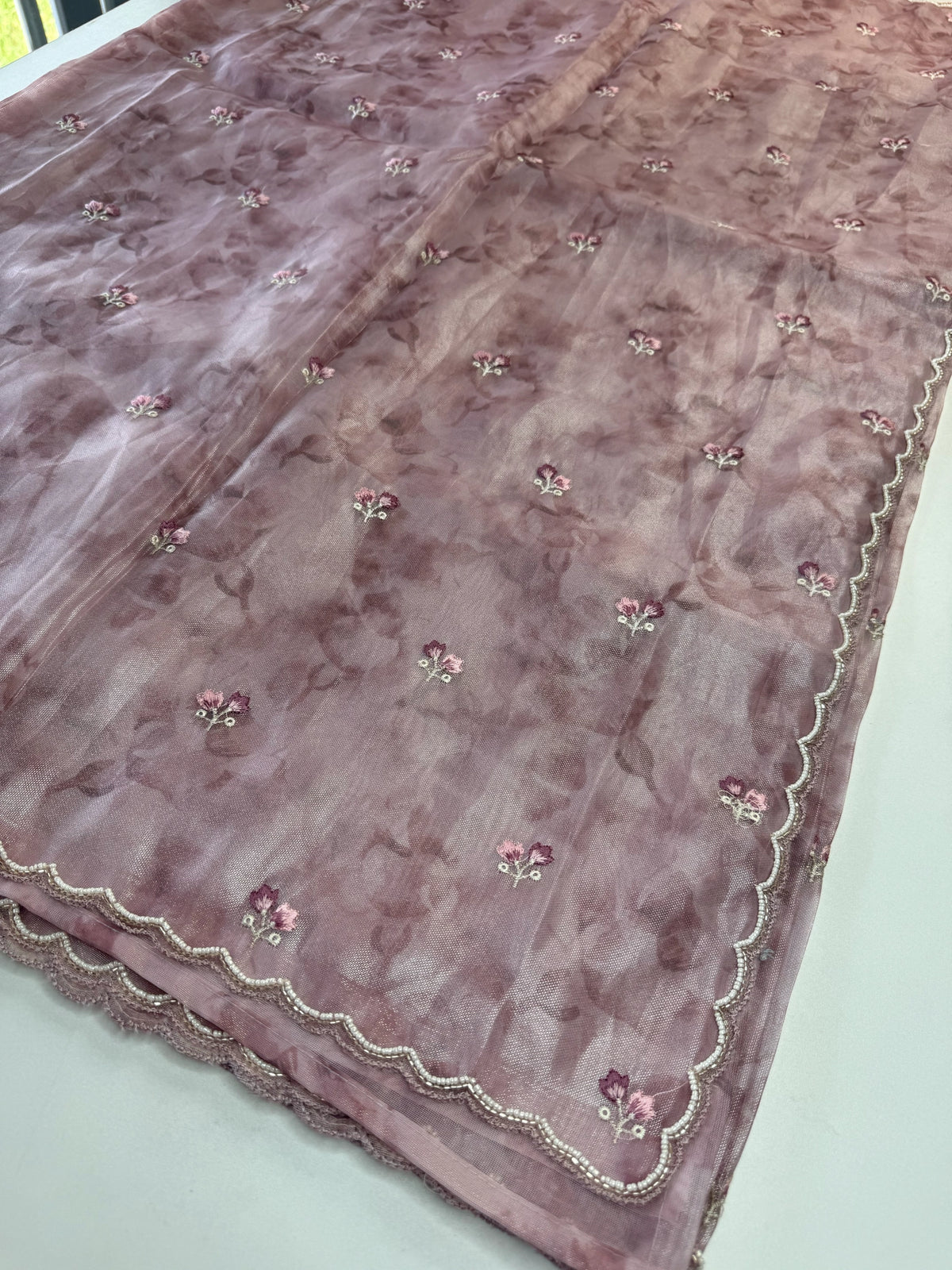 Tissue Organza Saree/ RKF14
