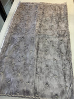Tissue Organza Saree/ RKF14