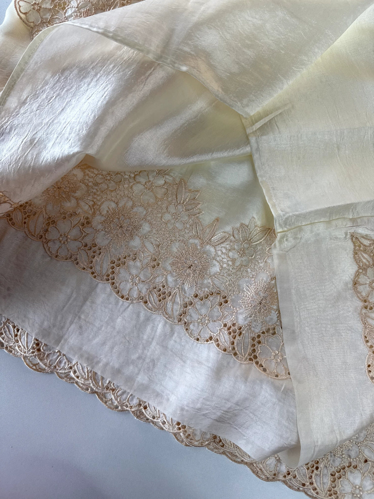 Crushed Organza Saree/ WS99