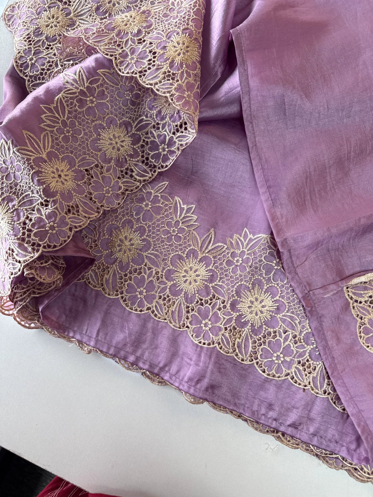 Crushed Organza Saree/ WS99