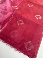 Soft organza saree/ Cw378