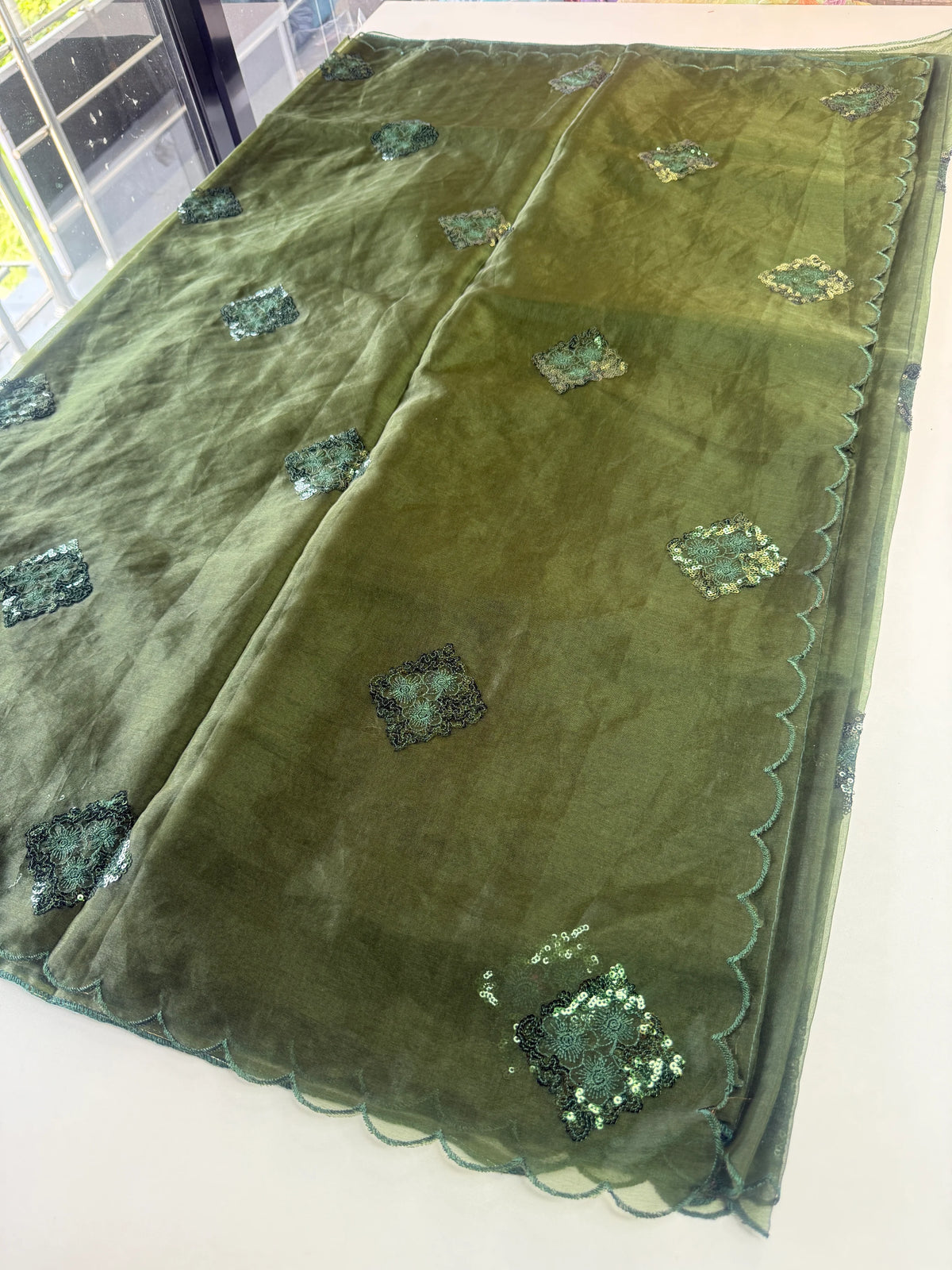 Soft organza saree/ Cw378