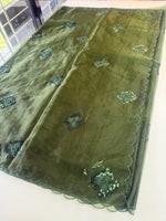 Soft organza saree/ Cw378