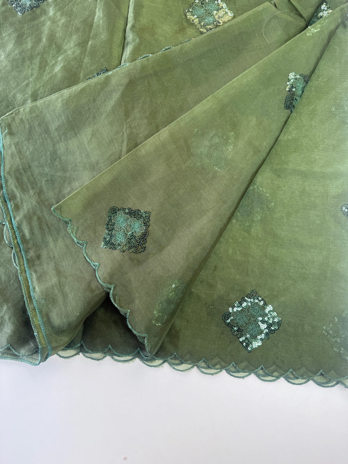Soft organza saree/ Cw378
