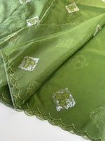 Soft organza saree/ Cw378