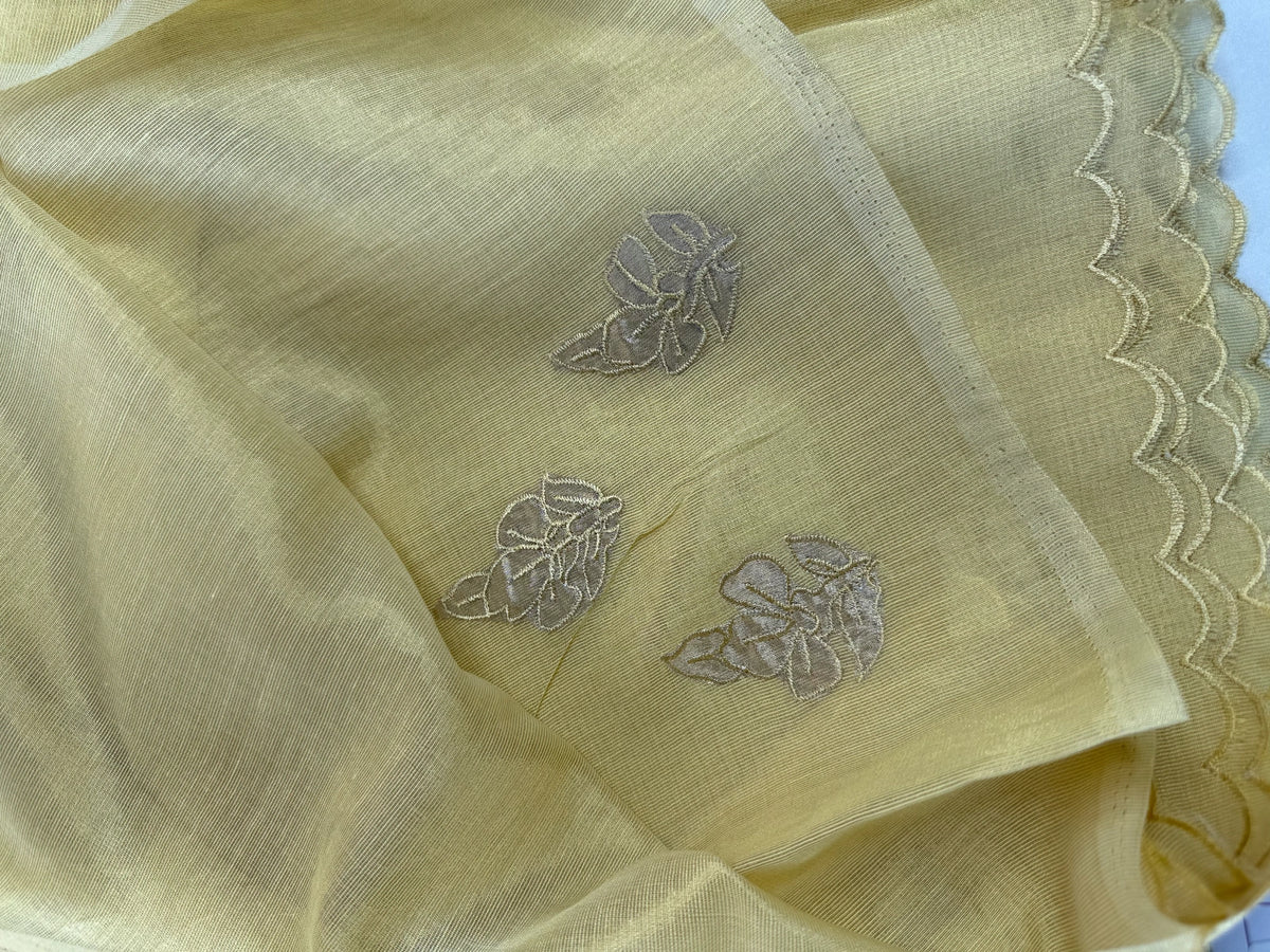 Chanderi Tissue Saree/ AWS17