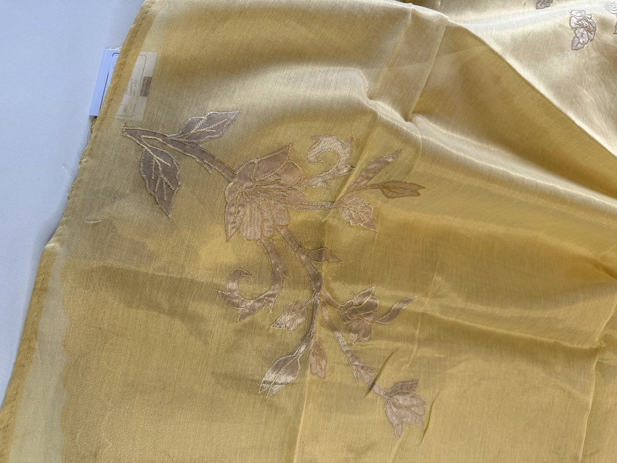 Chanderi Tissue Saree/ AWS17