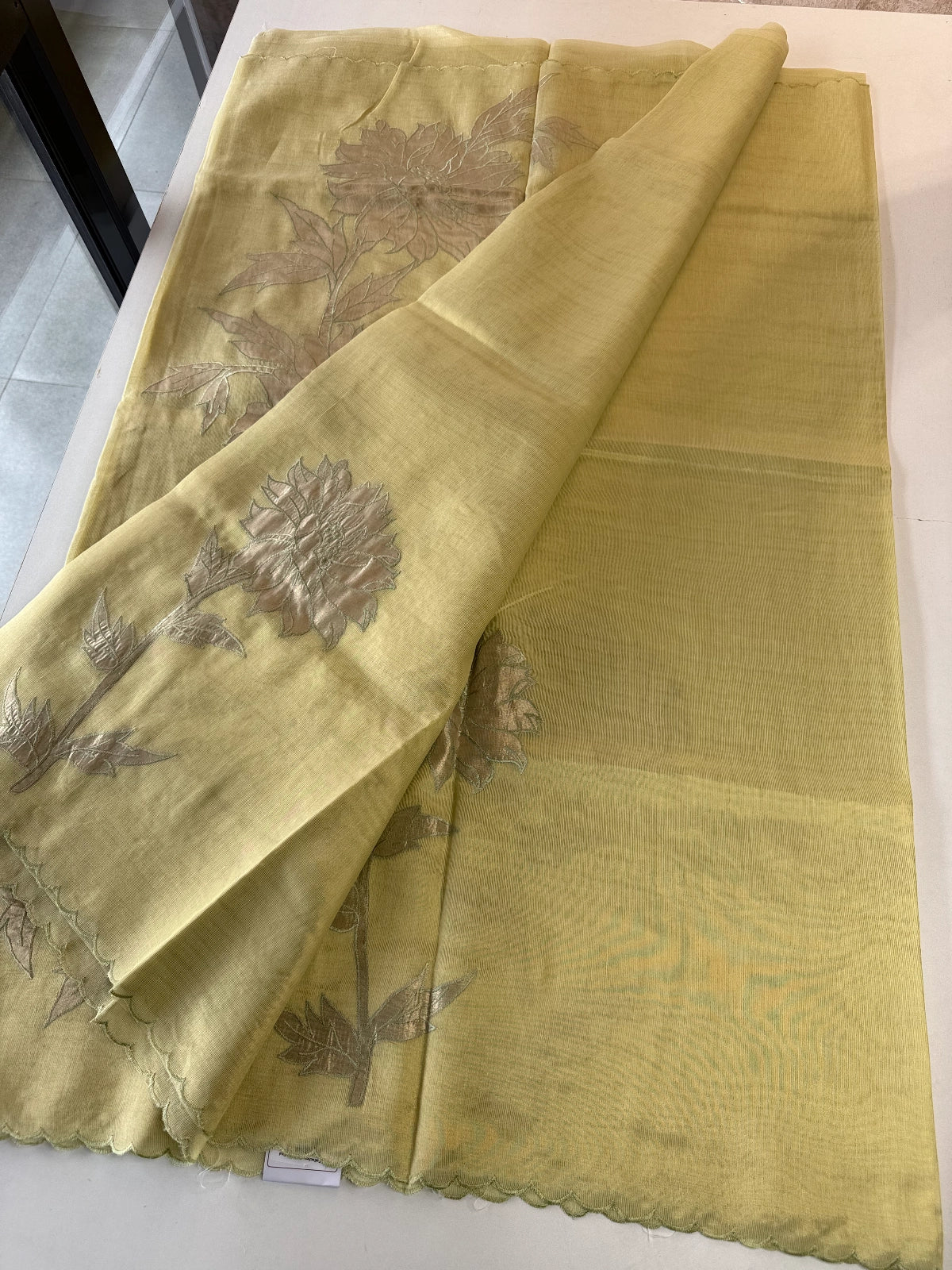 Chanderi Tissue Saree/ AWS17