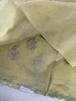 Chanderi Tissue Saree/ AWS17