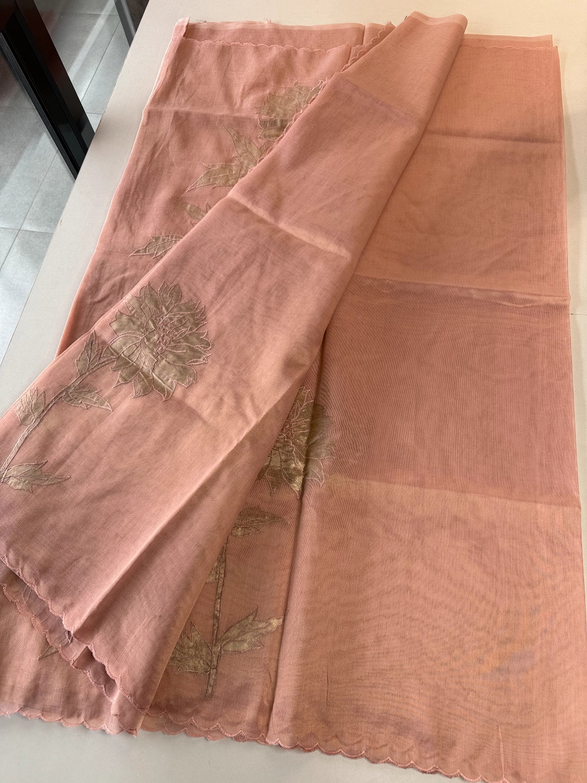 Chanderi Tissue Saree/ AWS17