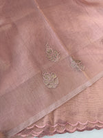 Chanderi Tissue Saree/ AWS17