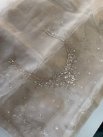 Glass organza Saree/ MC811