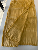 Tissue Organza Saree/ W319
