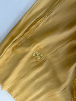 Tissue Organza Saree/ W319