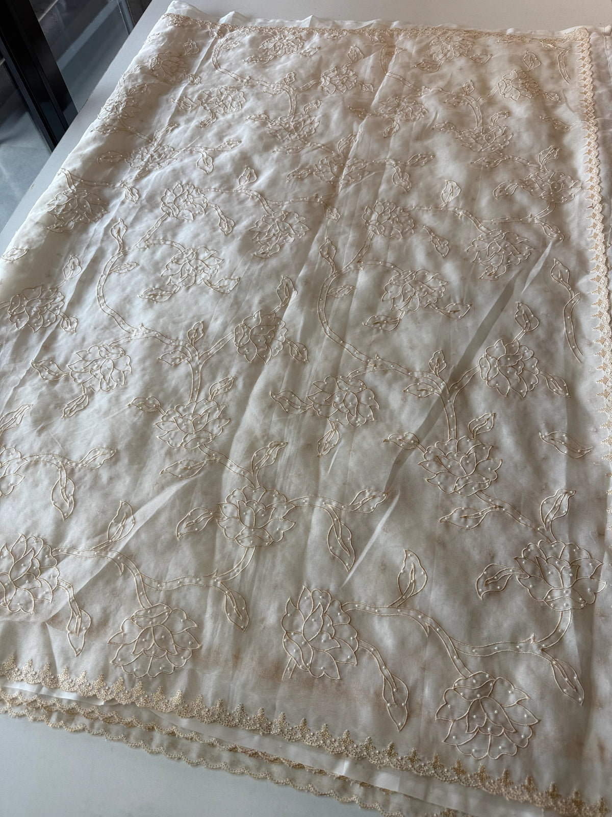 Viscous Organza Saree/ Ws18