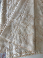 Viscous Organza Saree/ Ws18
